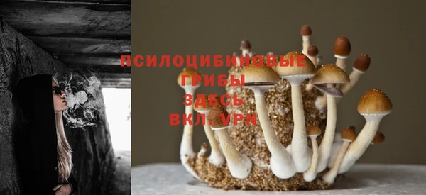 гашик Баксан