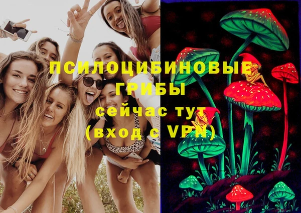 гашик Баксан