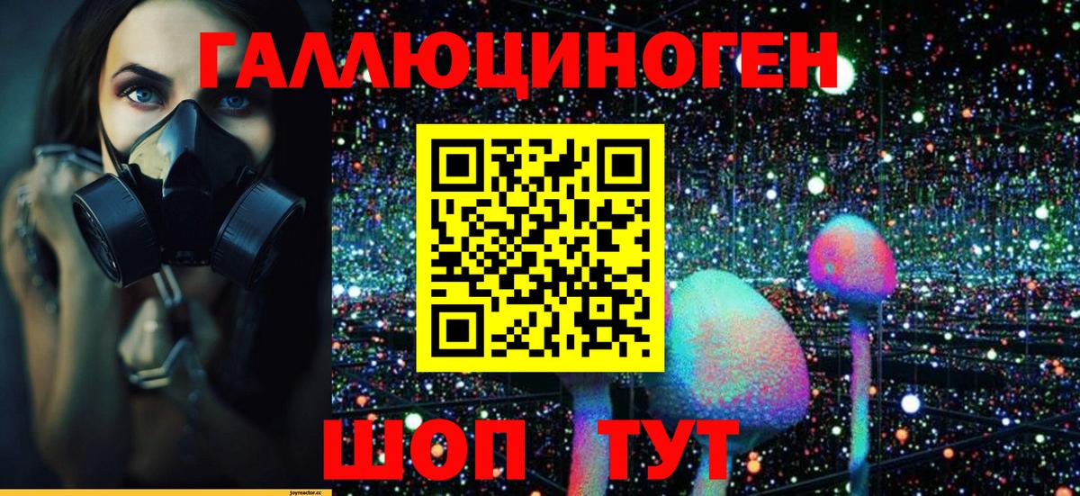 Псилоцибиновые грибы Psilocybe  Псилоцибиновые грибы MAGIC MUSHROOMS  Бор  Вход с VPN 